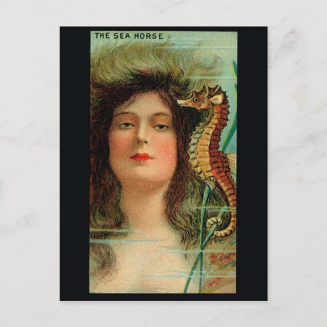 Carte postale Illustration vintage (Devant)