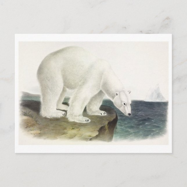 Carte postale Illustration vintage (Devant)