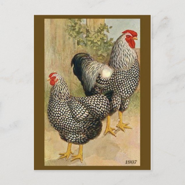 Carte postale Illustration vintage (Devant)