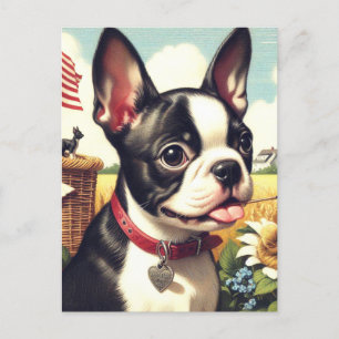 Carte Postale Illustration vintage Boston Terrier
