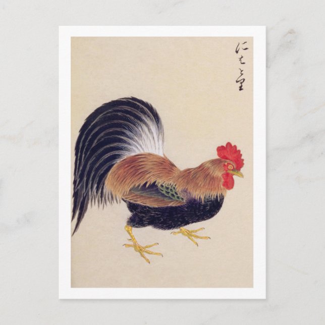 Carte Postale Illustration vintage : Coq (Devant)