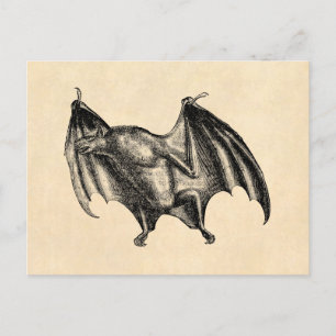 Carte Postale Illustration vintage de chauve-souris vampire du 1