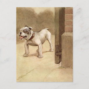 Carte Postale Illustration vintage de chiot Bulldog