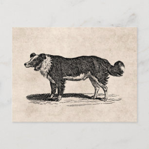 Carte Postale Illustration vintage de la frontière des années 18