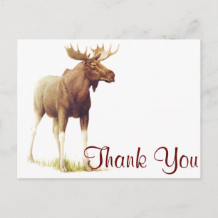 Carte Postale Illustration vintage de l'orignal, dessin animal