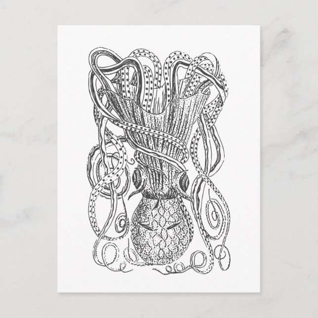 Carte Postale Illustration vintage de pieuvre en noir et blanc (Devant)