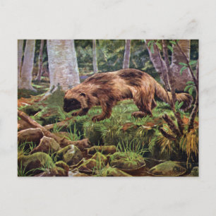 Carte Postale Illustration vintage de Wolverine