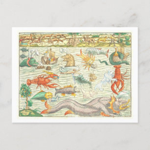 Carte Postale Illustration vintage des monstres marins de 1544