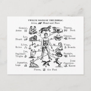 Carte Postale Illustration vintage Douze signes du Zodiaque