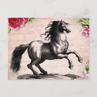 Carte Postale Illustration vintage du cheval