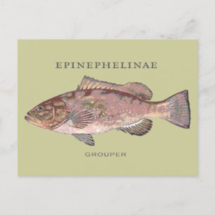 Carte Postale Illustration Vintage du poisson de groupe