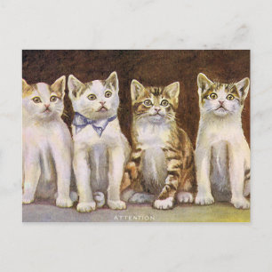Carte Postale Illustration Vintage Four Cute Kittens