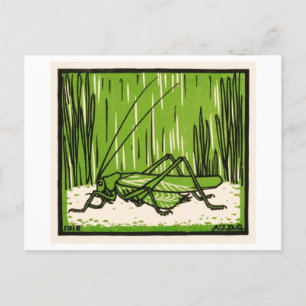 Carte Postale Illustration Vintage Grasshopper