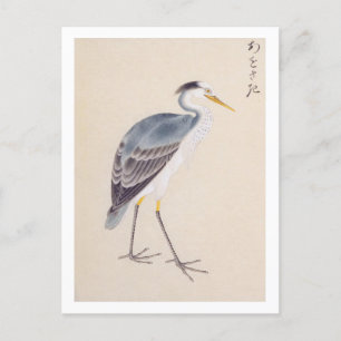 Carte Postale Illustration vintage : Heron gris