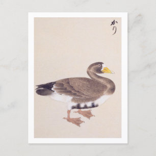Carte Postale Illustration vintage : Oie sauvage