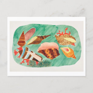 Carte Postale Illustration vintage Seashell