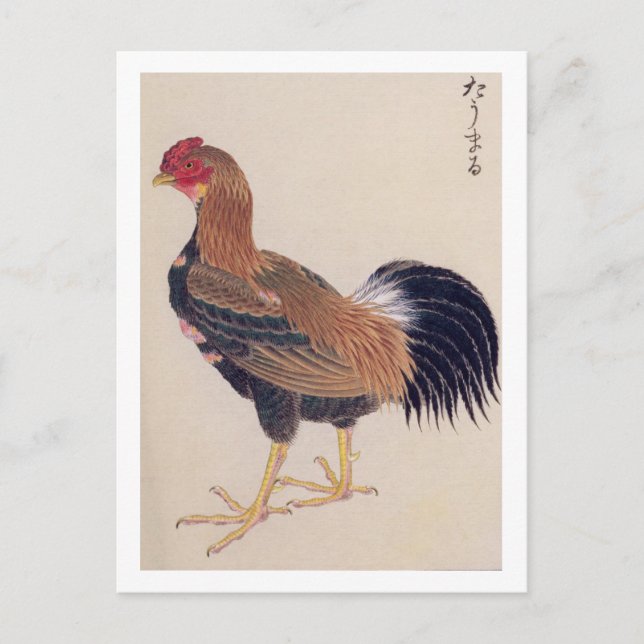 Carte Postale Illustration vintage : Tomaru (Devant)