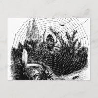 Illustration Web vintage des années 1800 - Araigné