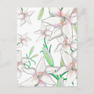 Carte Postale Illustration White Lilies