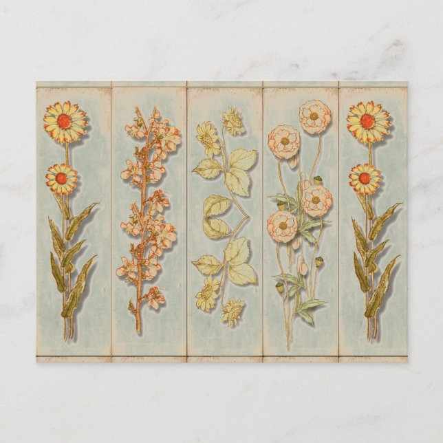 Carte Postale Illustrations de Plante vintage (Devant)