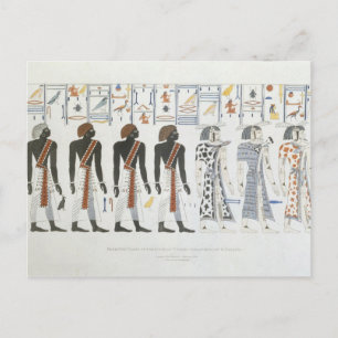 Carte Postale Illustrations des hiéroglyphes des tombes de t