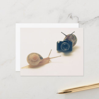 Carte Postale I'm a photographer.