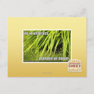 Carte Postale im dans l'herbe