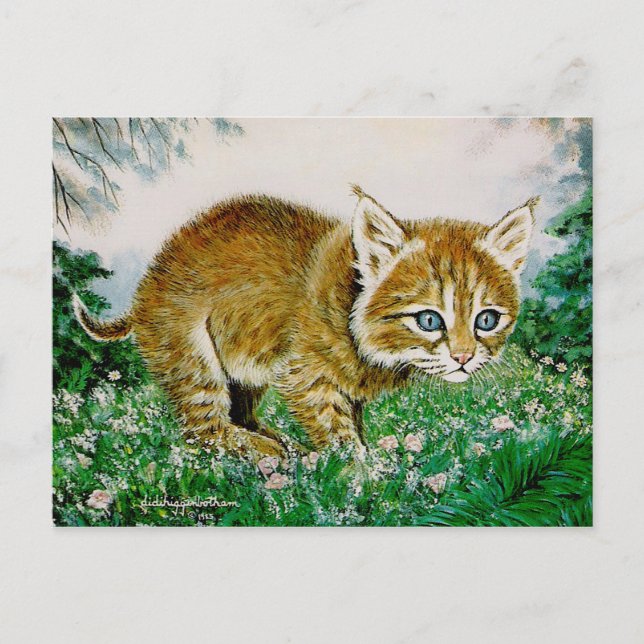 Carte Postale Ima Bobkitty (Devant)