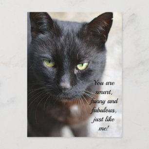 Carte Postale Image Amoureux des chats noire avec citation motiv