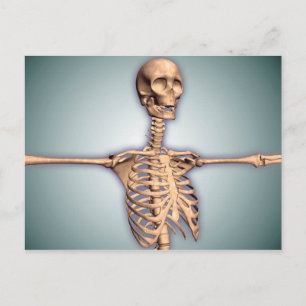Carte Postale Image Conceptuelle De La Cage Des Ribs Humains Et 