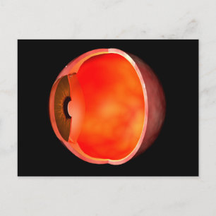 Carte Postale Image Conceptuelle De La Croix Des Yeux Humains Se
