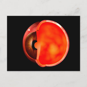 Carte Postale Image Conceptuelle De La Croix Des Yeux Humains Se