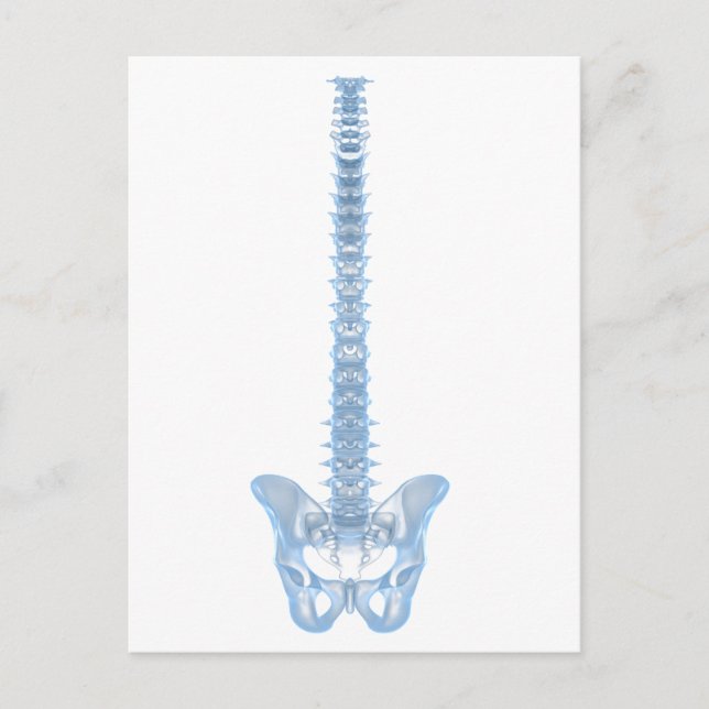 Carte Postale Image Conceptuelle De La Fondatrice Humaine 6 (Devant)