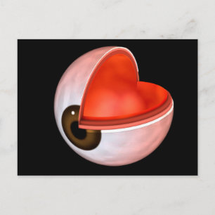 Carte Postale Image Conceptuelle De L'Anatomie Des Yeux Humains