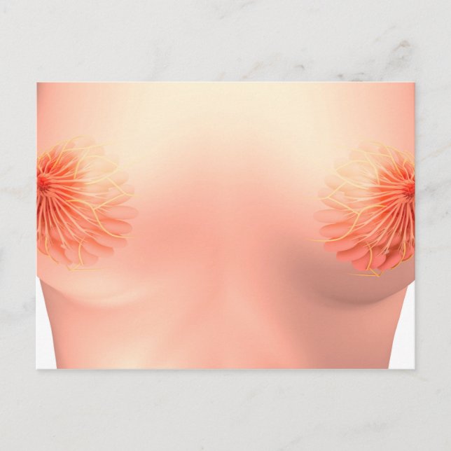 Carte Postale Image Conceptuelle De L'Anatomie Du Sein Féminin 7 (Devant)