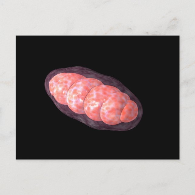 Carte Postale Image Conceptuelle De Mitochondria 2 (Devant)