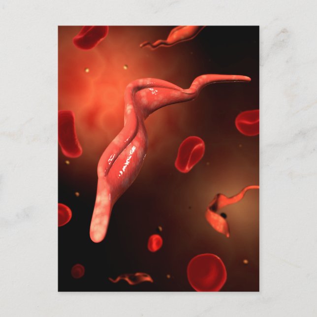 Carte Postale Image Conceptuelle De Trypanosoma 1 (Devant)