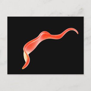 Carte Postale Image Conceptuelle De Trypanosoma 2