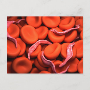 Carte Postale Image Conceptuelle De Trypanosoma 3