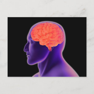 Carte Postale Image Conceptuelle Du Cerveau Humain 1