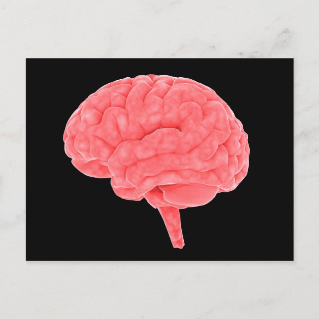Carte Postale Image Conceptuelle Du Cerveau Humain 4 (Devant)