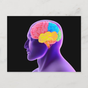 Carte Postale Image Conceptuelle Du Cerveau Humain 7