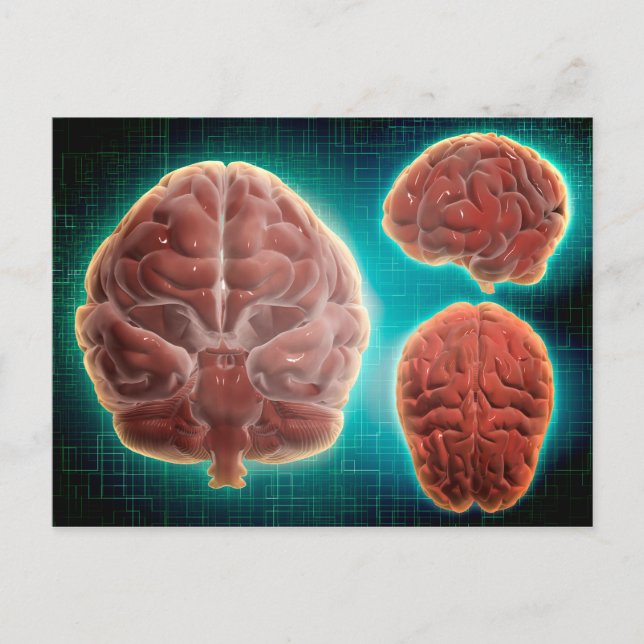 Carte Postale Image Conceptuelle Du Cerveau Humain À Différentes (Devant)