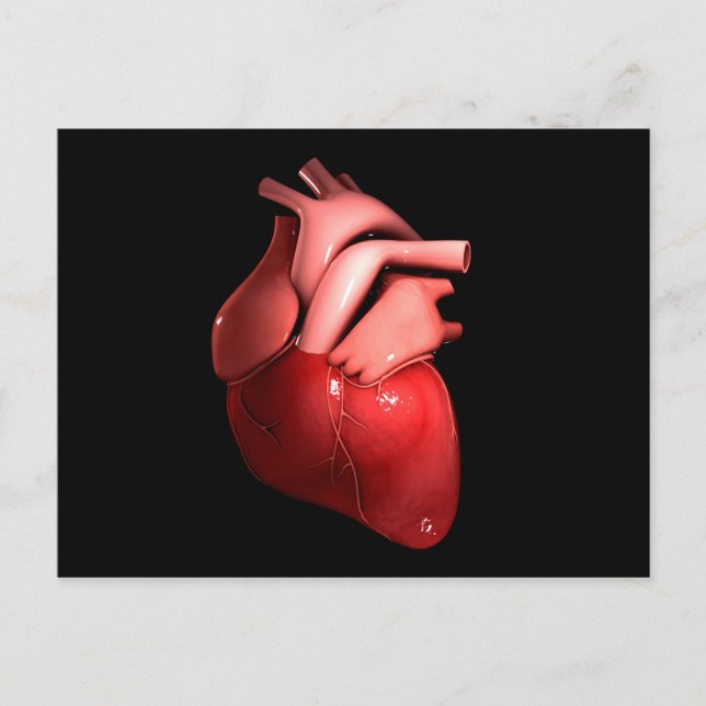 Carte Postale Image Conceptuelle Du Coeur Humain 1 (Devant)
