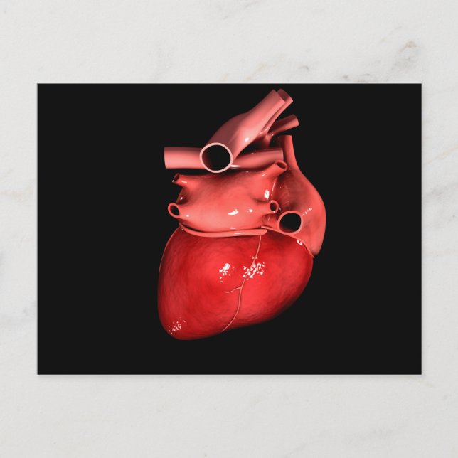 Carte Postale Image Conceptuelle Du Coeur Humain 3 (Devant)