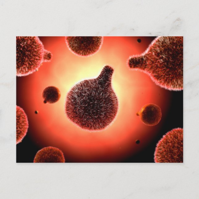 Carte Postale Image Conceptuelle Du Plasmodium À L'Origine Du Pa (Devant)