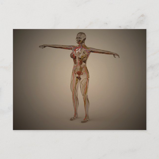 Carte Postale Image Conceptuelle Du Système Nerveux Humain 2 (Devant)