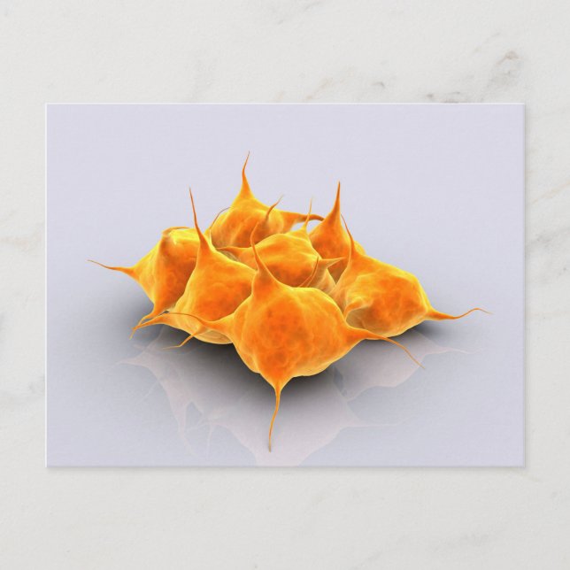 Carte Postale Image Conceptuelle D'Un Groupe De Platelets (Devant)