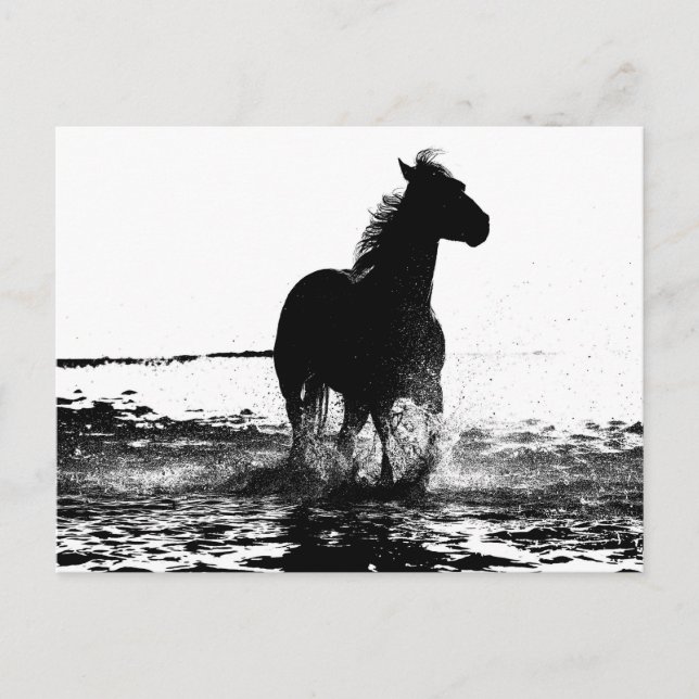 Carte Postale Image d'art pop moderne en noir et blanc de cheval (Devant)