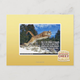 Carte Postale Image de chat